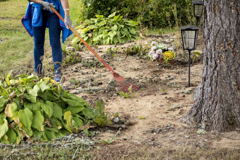Earthmoving Service detail